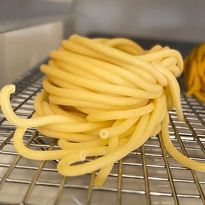 Beautiful bucatini pasta nest